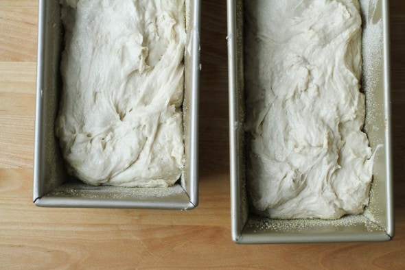 english muffin bread ready to rise